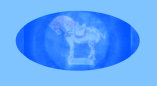 051222_collectible_lighters_handcuffs_sally_tuffin001027.jpg
